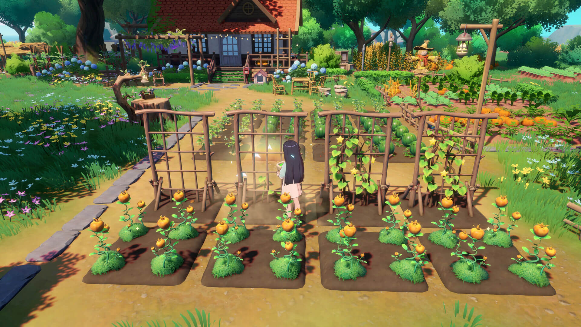 Starsand Island island activities
